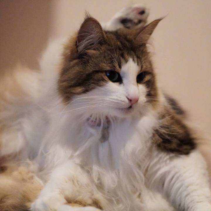 F408c41e 0bb7 49ff b5ab 010156286a2a 1561807938824