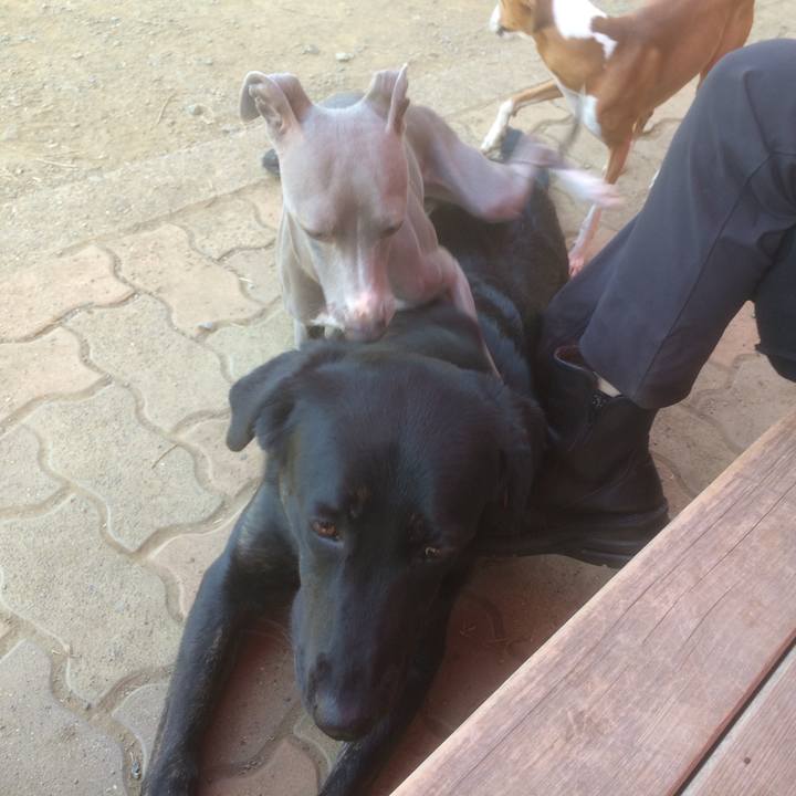 F408c934 82cb 478f b720 22b8ea45718b 1529581427759