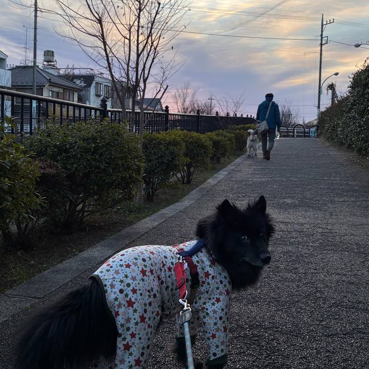 F408d63e 577d 4cb4 8171 f062eff63880 1769386261892