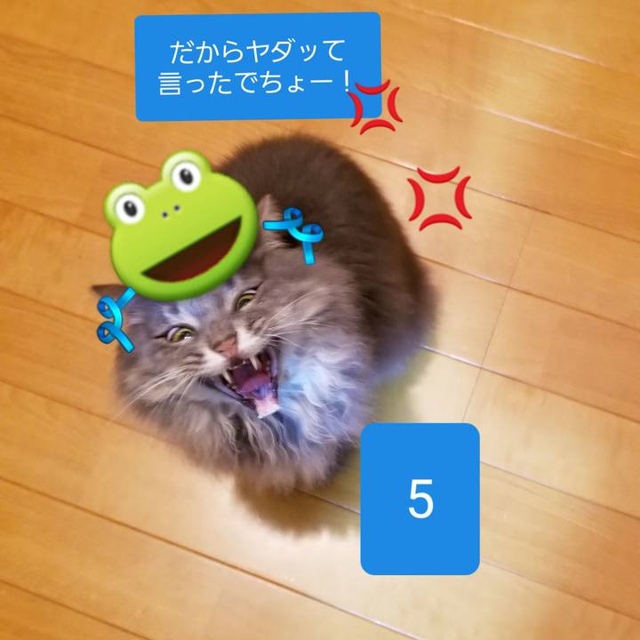 F408f46e 277d 44b9 940a 3d1dc74404a9 1544353996978