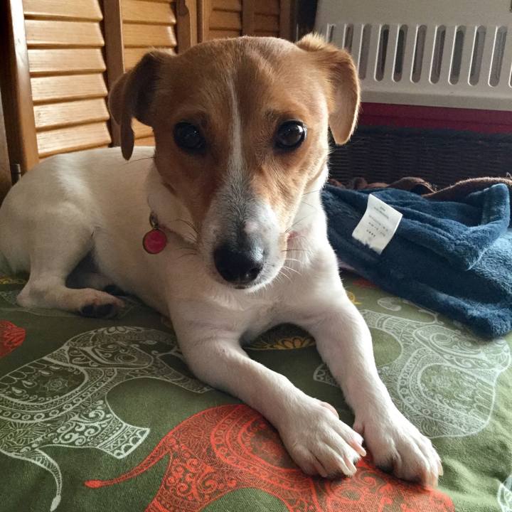 F408fb35 ad72 433d 8bae dc33804587ff 1526114312768