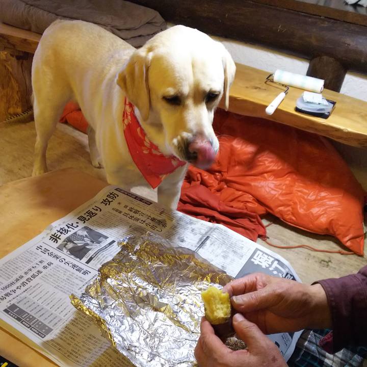 F4091b65 c016 403f bab9 7eb67cd0fce1 1549537396347