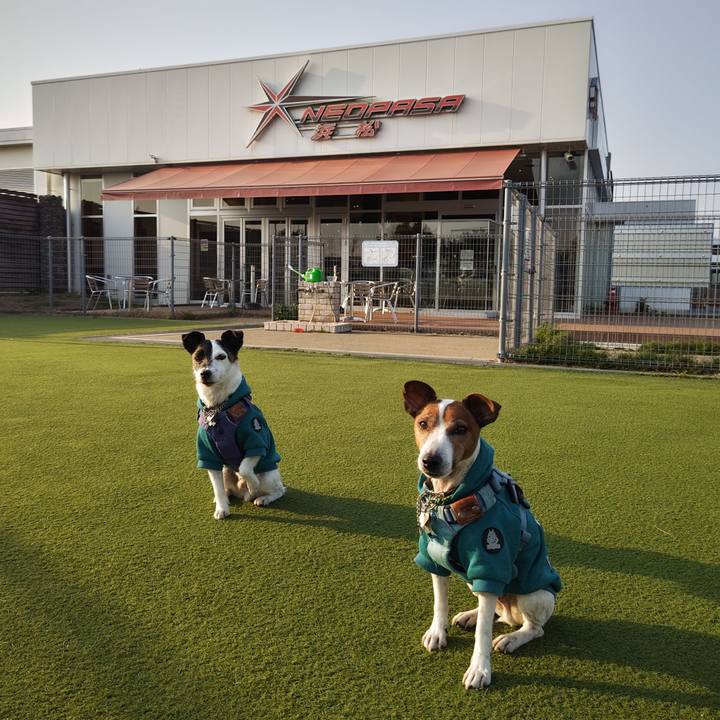 F4094fa1 a7f0 4aeb a3cc 37cbde52109e 1742546257794