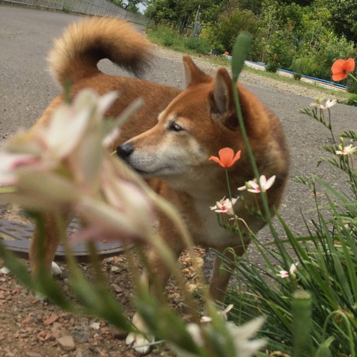 F4097899 d8e8 4c2e 9272 c0d2745feaef 1557723776399