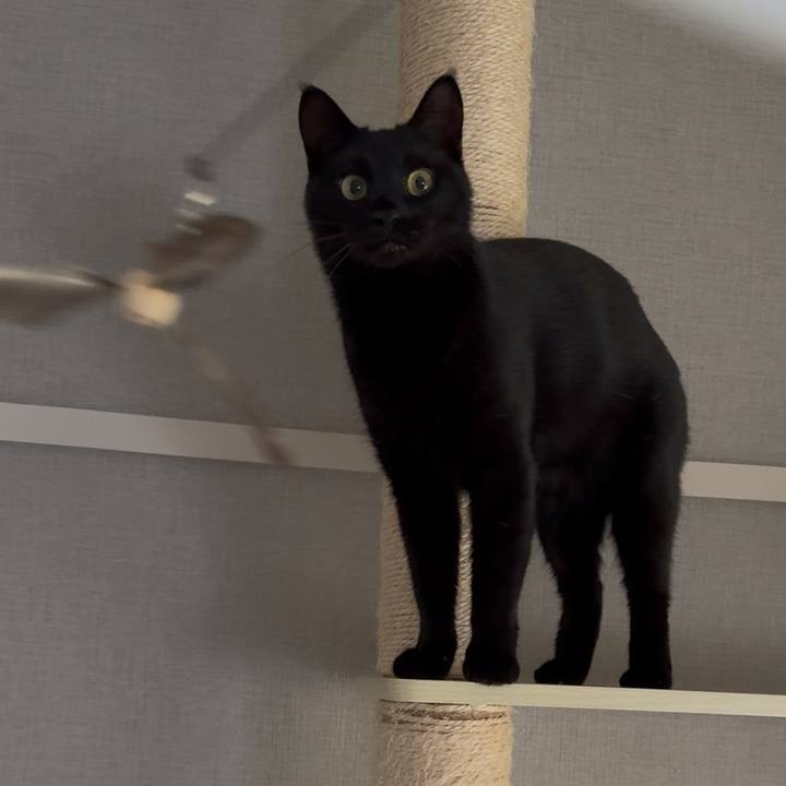 F4097dfa 65b4 4014 881d 4f74863e1154 1762854559226