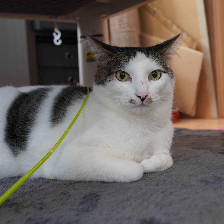 F4098768 a1b0 4c6f 809d 2af78d2ec448 1616201809467