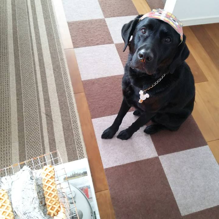 F4099b38 bf45 4b88 89ce a3f465a5253e 1691809024637