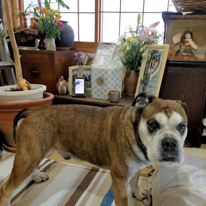 F4099c61 86fd 4598 ac18 e7b3c8a5d1fb 1627646823442