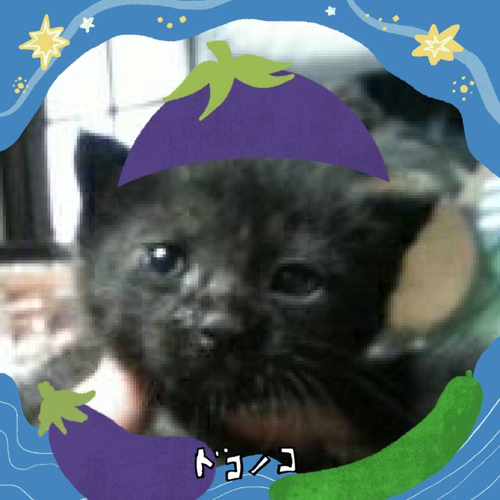 F4099e5b a601 4293 ab50 c845f9d398b3 1755329578113