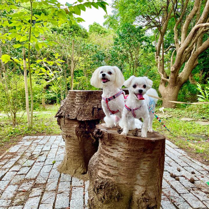 F409f2cb 63cb 452d afec 23c5c3492558 1631849063888