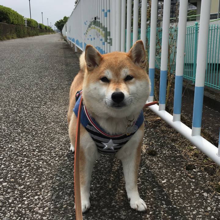 F40a07e4 1249 406c 9853 ffd7d995bde5 1560997778198