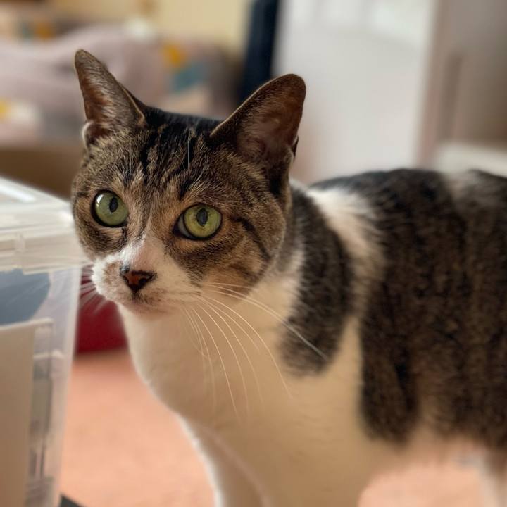 F40a288a 9d5c 4e66 97c5 8a28d2cb2c7e 1650420042016