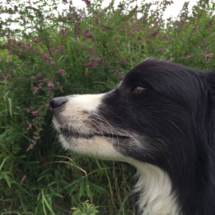 F40a28b6 fc05 48f5 ab00 a74b097a412a 1537163901190