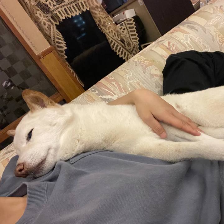 F40a67da c2e4 4ba0 9044 1082dc36d12b 1639231430762