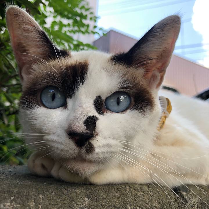 F40a6b4a f313 48bf 9fe1 b0f4c5f6c9c8 1633426720558