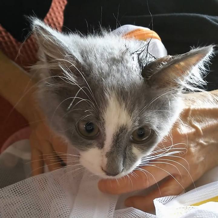 F40a8435 ce01 4e13 8a81 94880a0e8418 1564204644299