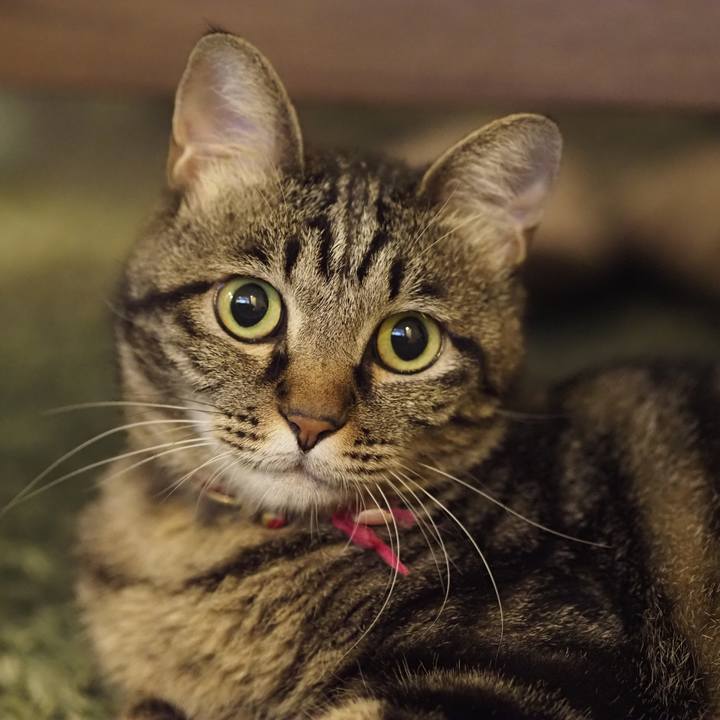 F40abd90 ff77 49bd 815d 87349121c62f 1627989428510