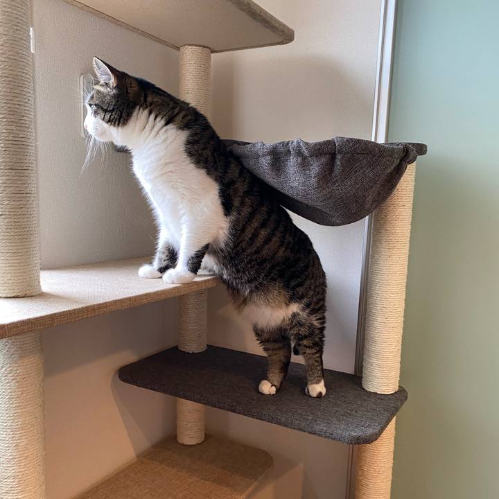 F40ae806 51b4 43c0 8f5f b6832a3adeb1 1594273424471