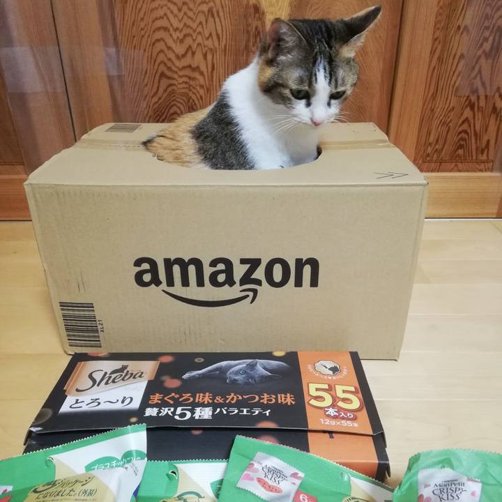 F40af472 4d2e 4462 9140 252c1ed1b107 1655600963101