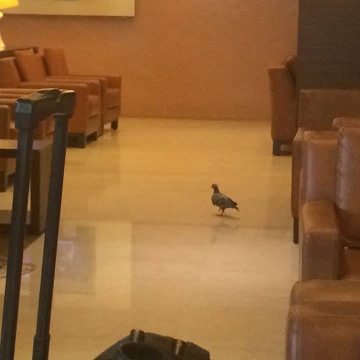 F40b22ba 5114 4051 ac0f 9d522cc9bba3 1528866826014