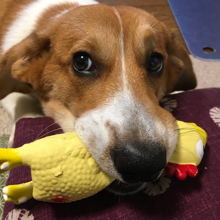 F40b7b56 354f 4887 be08 9517c3bd57d7 1599784949531