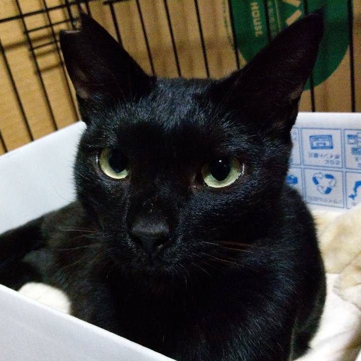 F40be375 3852 4d25 9612 5a23189deeb8 1569052956241