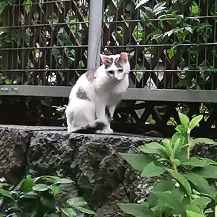 F40be938 6c78 4da8 990f 2e408f5f54ea 1623836594028