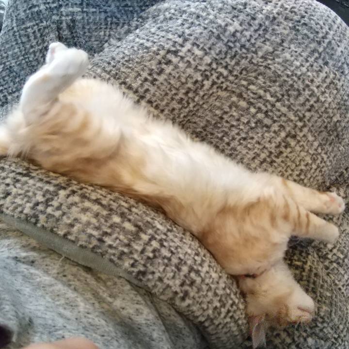 F40beb87 b409 4155 8762 4e298e5cbd16 1609905536545