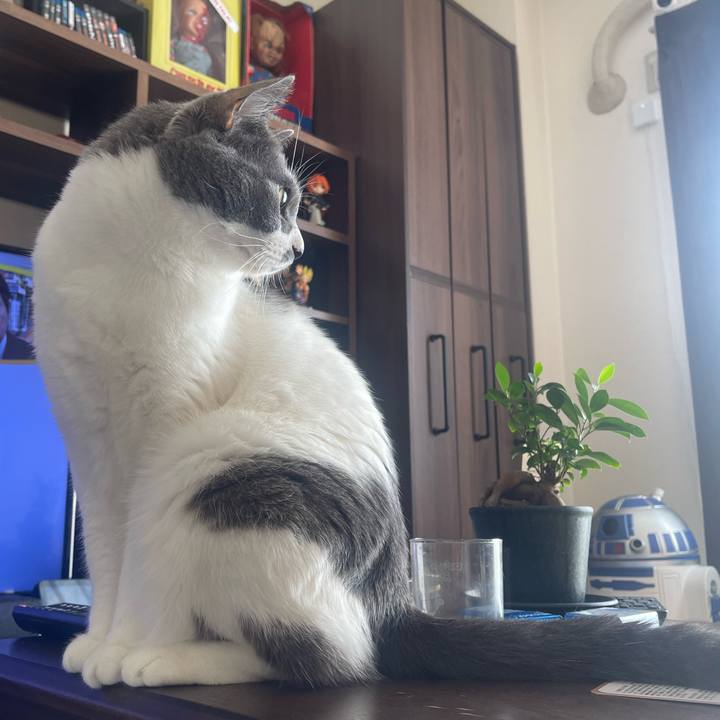 F40c2106 e76b 43a7 8a16 c69424a320c4 1698571594750