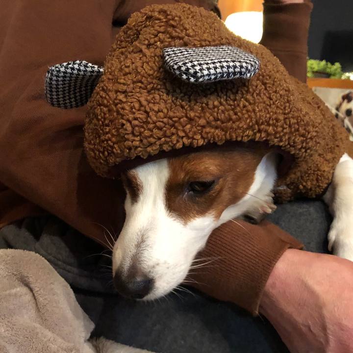 F40c3b8e 0886 4290 b699 28d45dda4ad2 1548311736586