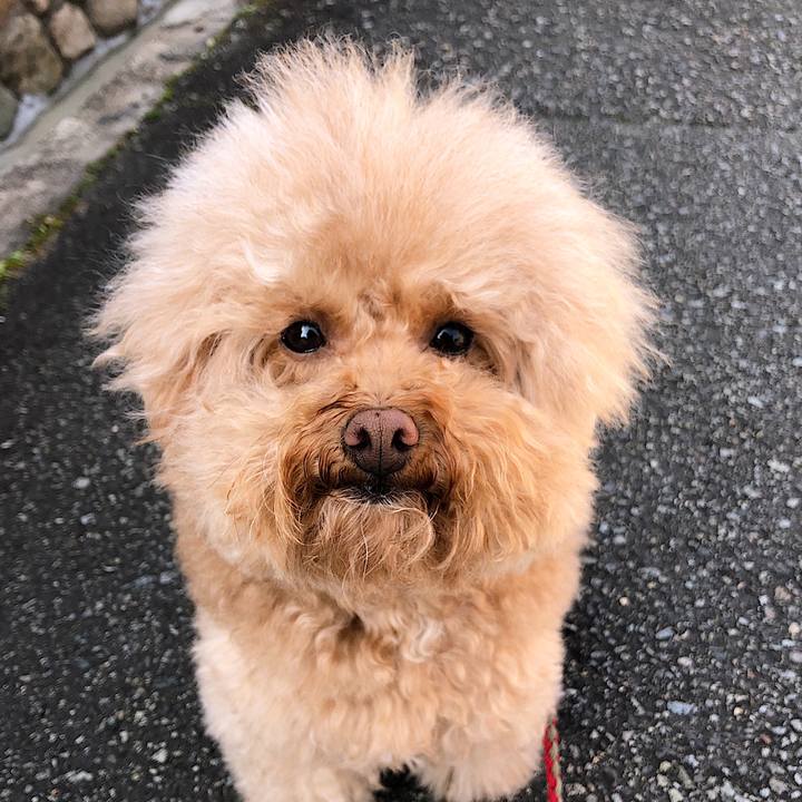 F40c5fbc b6bc 4e09 b73a a4443f118621 1551179697097