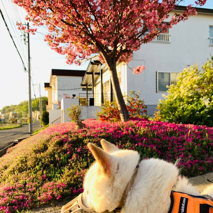 F40c7d3d e399 4f02 8fab dfce46ddb9f3 1621027120128