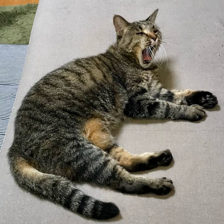 F40c8ce5 55ff 414c adfc a489cc00bcb2 1632704710870