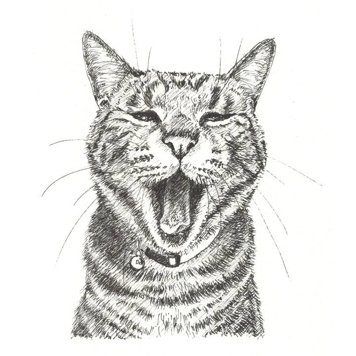 F40cd7f9 b47e 4ae1 a1f9 08b1805a5fab 1568643202784