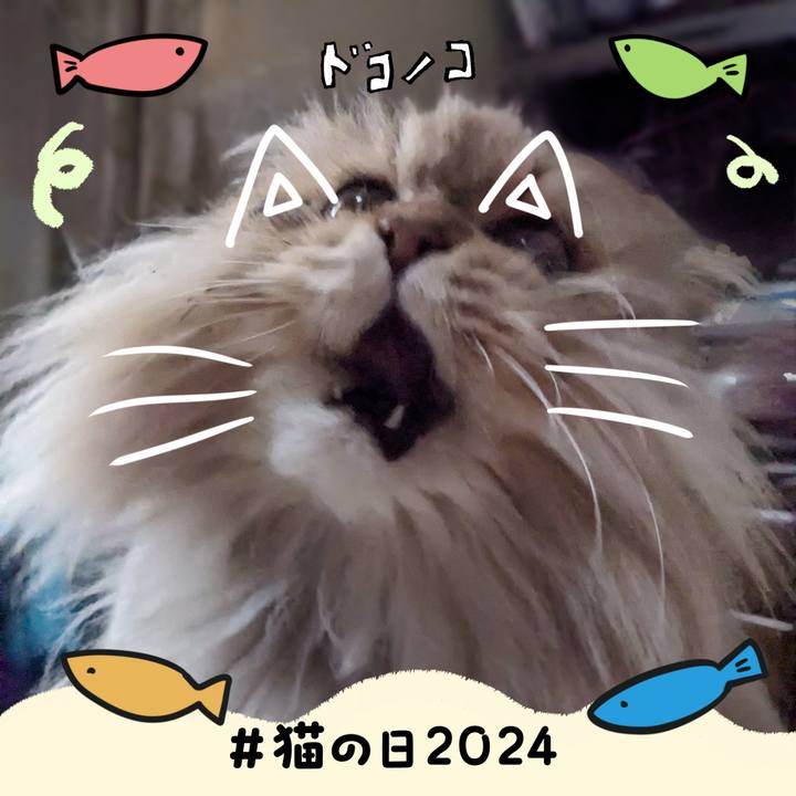 F40cdf87 174a 472b b0b0 303f9975d890 1708562801074