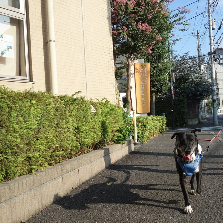 F40ce250 345d 4899 93e0 c4896b5b4b78 1691281149281