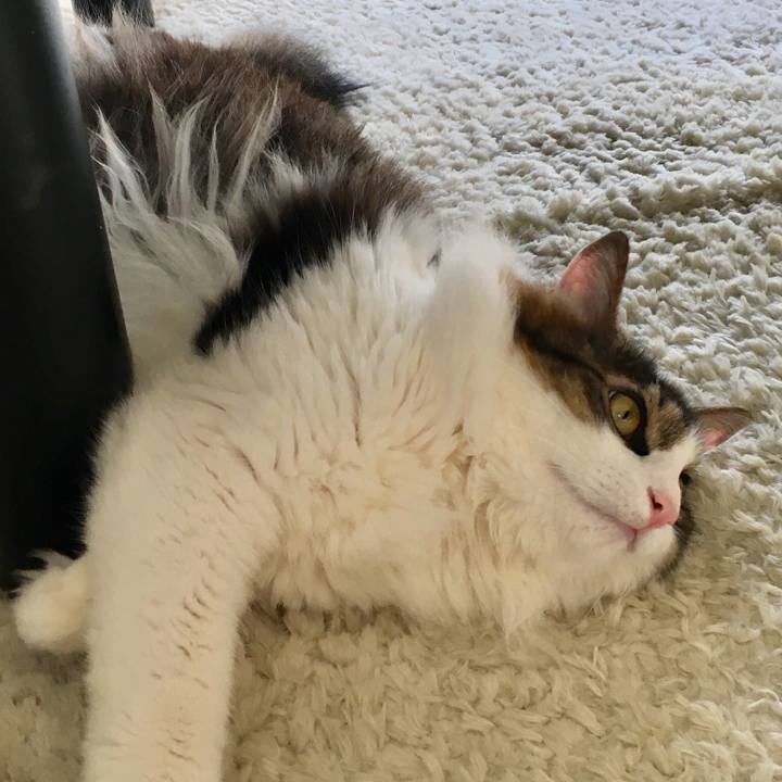 F40d1ded 95bd 4fda 8394 7b45ddcec24d 1523596256322