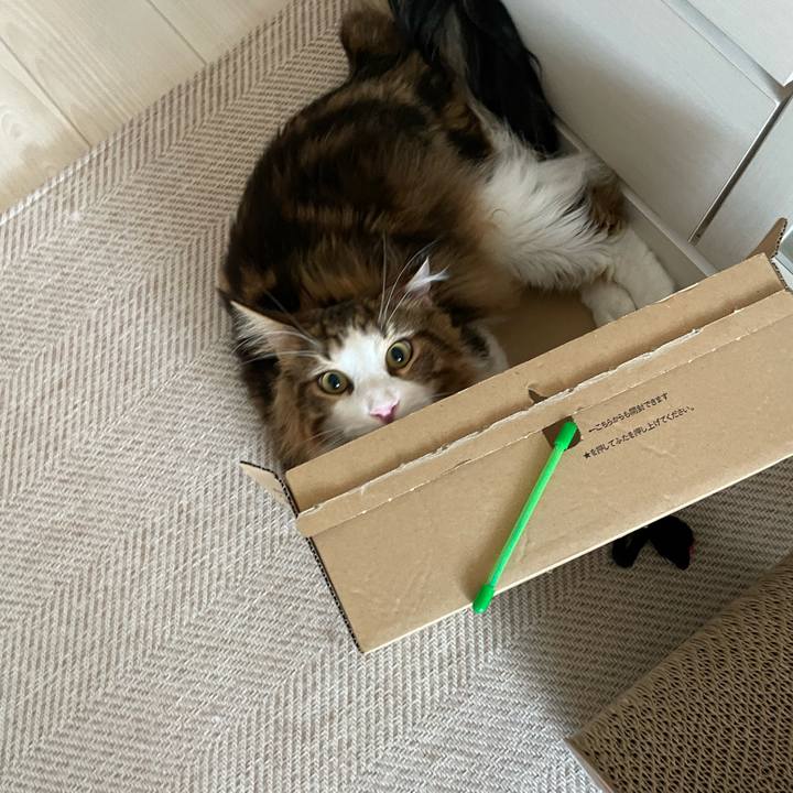 F40d3ef6 c106 476d 8411 d988478a3583 1658349804137