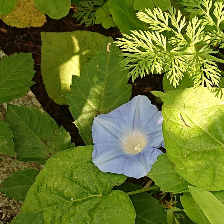 F40d4230 1488 4201 bca4 d0963da2bb3a 1654126764329