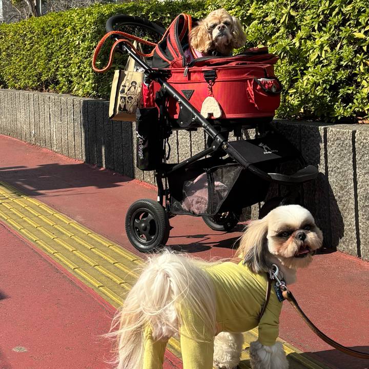 F40d4757 cf94 4196 8247 08b1c3bf2198 1774528768659