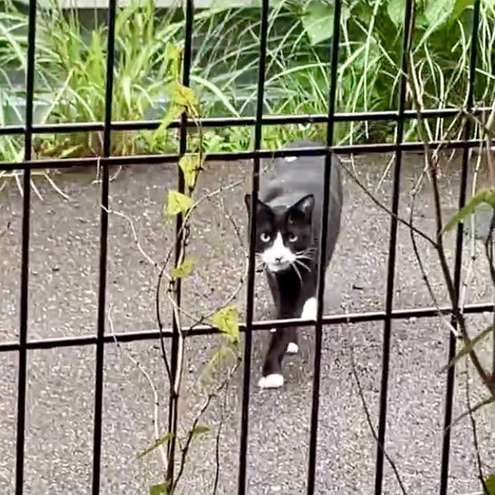 F40d4e0f a8f7 4599 8458 7afd867123eb 1729917610296