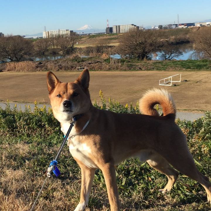 F40d7902 eff5 4420 953d 7f65bcfb232f 1546555550368