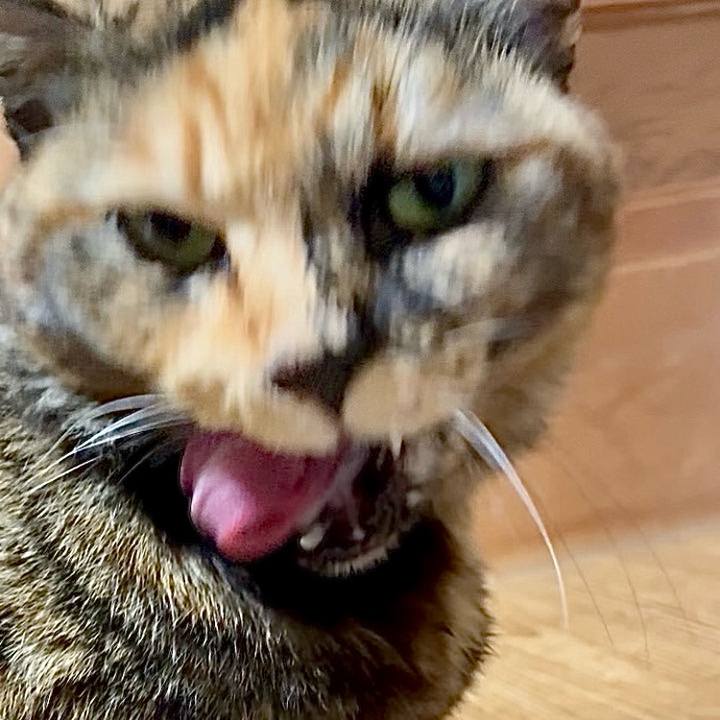 F40d900a 35d9 4eab b636 1360bbd50df4 1767354324354