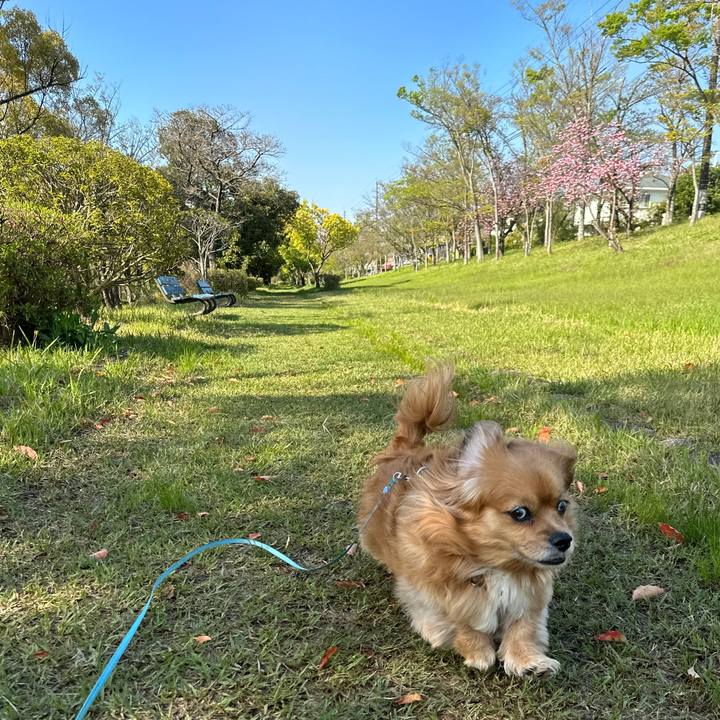 F40da623 5e43 406b 9d25 a2ee3d176d4d 1680998968863