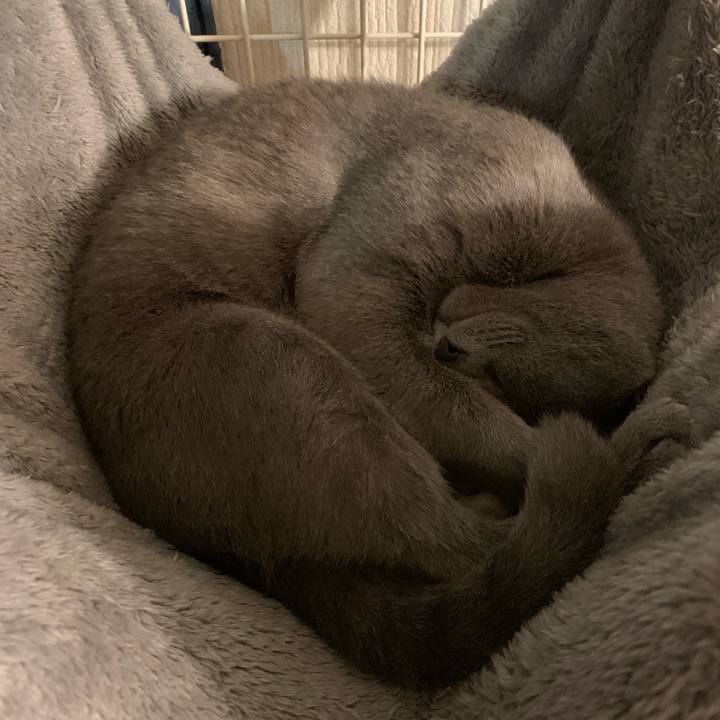 F40db178 9607 4f5a bdf9 fcf69a3e8f86 1575972621540