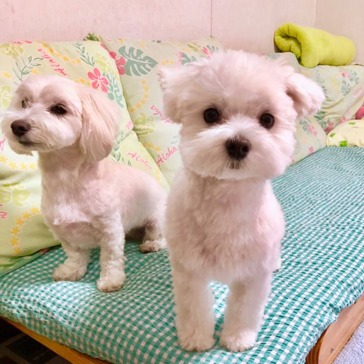 F40ddf49 5c3f 4f11 9ce6 ed1dd1b7249a 1523932381603