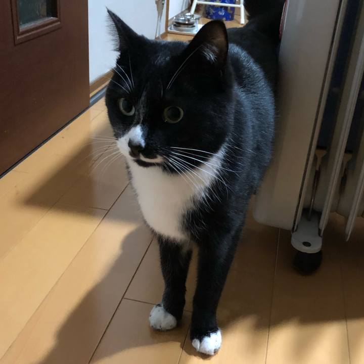 F40dfe3c e896 44d6 b8d3 9cdc8b5745b1 1583811886796