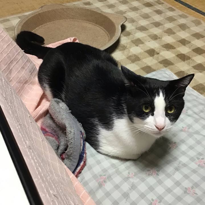 F40e09d9 df27 41e6 90c6 76580f804e8b 1730809277369