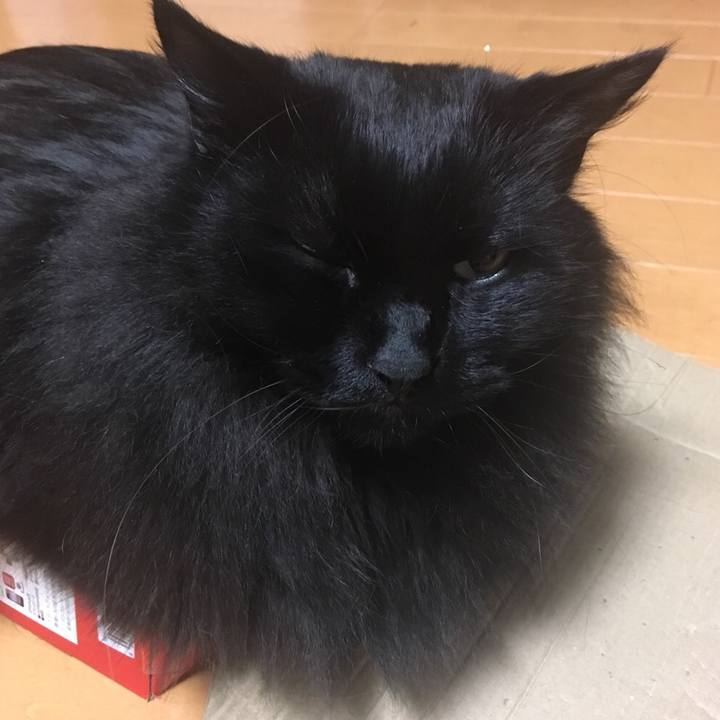 F40e0fcc f2dd 41c6 9b84 2e91b34c8c35 1544426806497