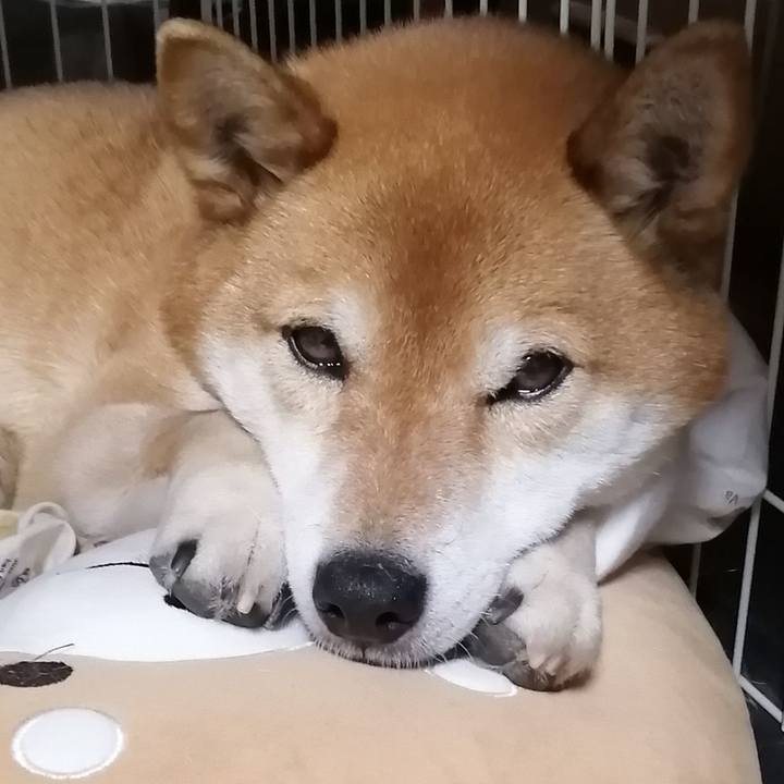 F40e2886 8d40 4687 a202 9c8c4e406817 1647344101854